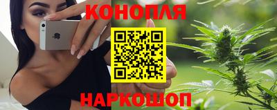мяу мяу мука Тулун