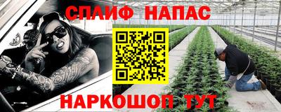мяу мяу мука Тулун