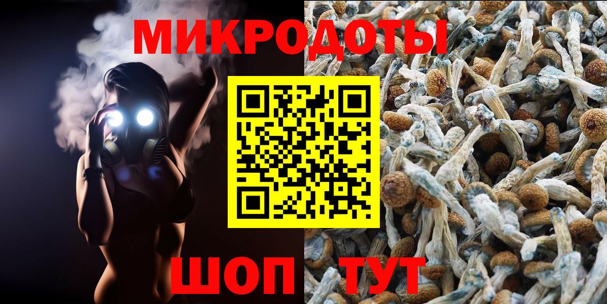 Галлюциногенные грибы ЛСД Богданович